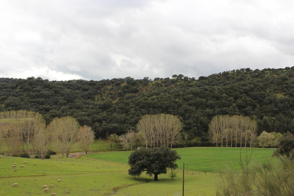 La Fundicion Cazalla de la Sierra